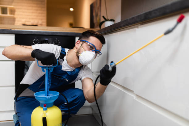 Best Pest Control for Homes  in Wakefield, VA