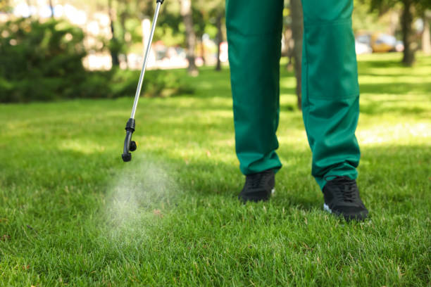 Best Local Pest Control Services  in Wakefield, VA