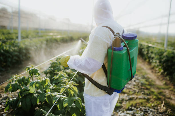 Best Best Pest Control Companies  in Wakefield, VA